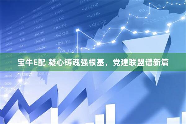 宝牛E配 凝心铸魂强根基，党建联盟谱新篇