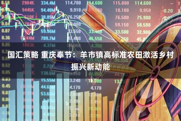 国汇策略 重庆奉节：羊市镇高标准农田激活乡村振兴新动能