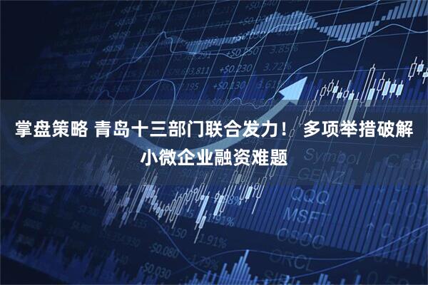 掌盘策略 青岛十三部门联合发力！ 多项举措破解小微企业融资难题