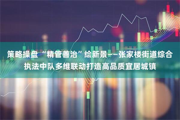 策略操盘 “精管善治”绘新景——张家楼街道综合执法中队多维联动打造高品质宜居城镇