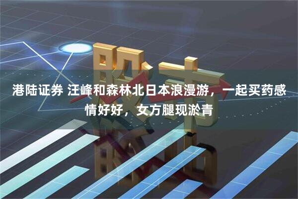 港陆证券 汪峰和森林北日本浪漫游，一起买药感情好好，女方腿现淤青