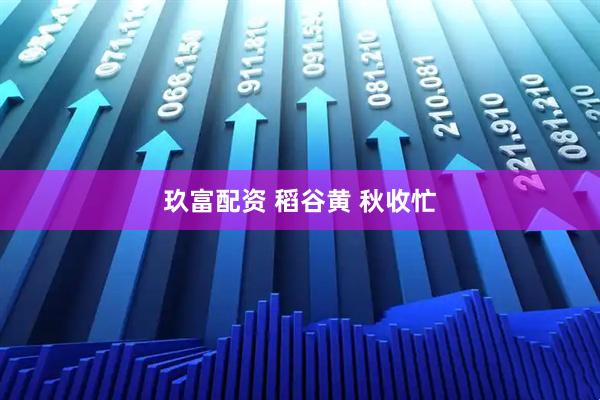 玖富配资 稻谷黄 秋收忙