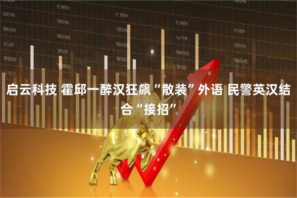 启云科技 霍邱一醉汉狂飙“散装”外语 民警英汉结合“接招”