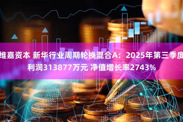 维嘉资本 新华行业周期轮换混合A：2025年第三季度利润313877万元 净值增长率2743%