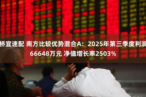 桥宜速配 南方比较优势混合A：2025年第三季度利润66648万元 净值增长率2503%